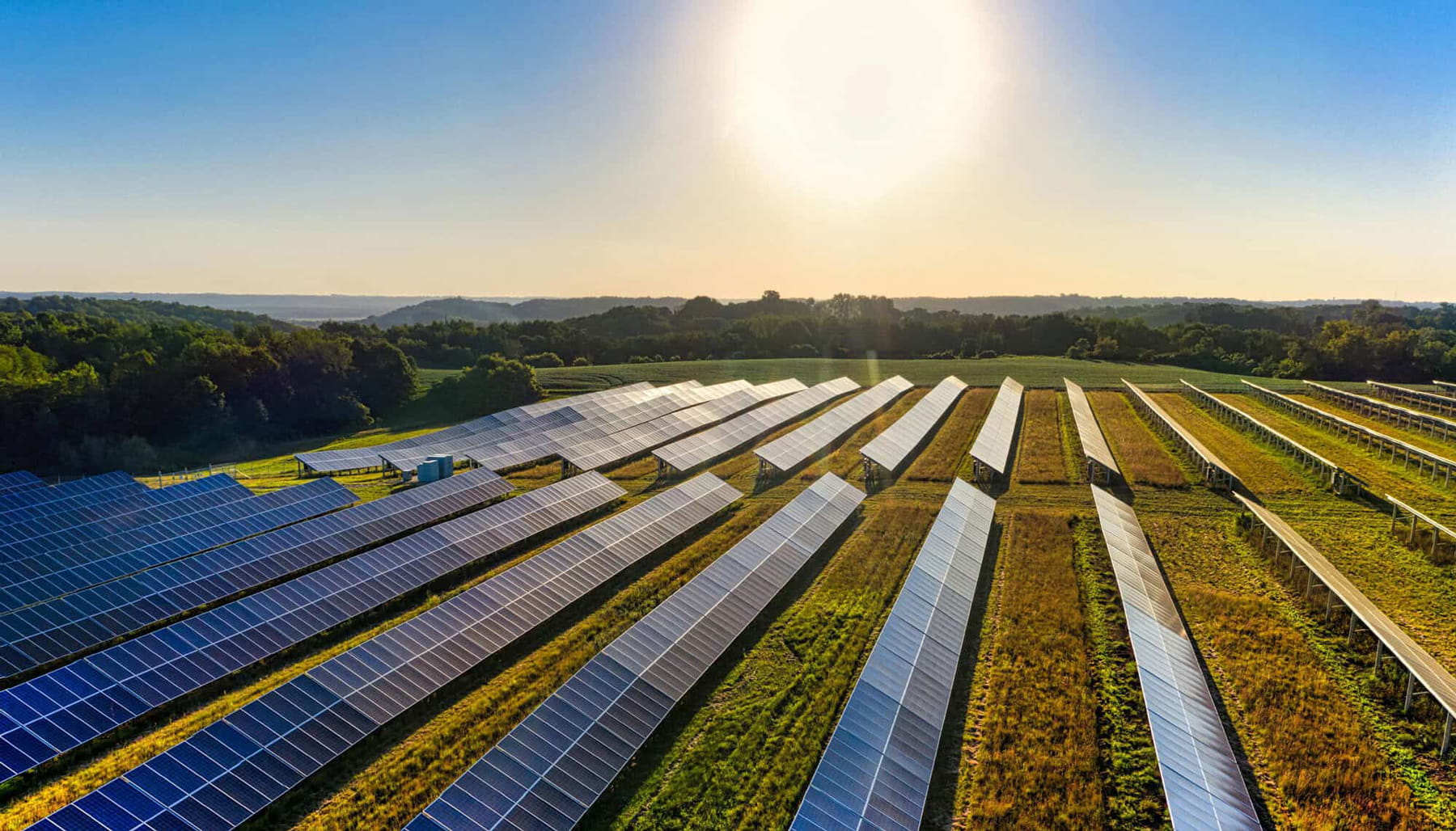Rows of solar panels are arranged on a grassy field under a bright sun, with trees and a forested area in the background. The scene is bathed in sunlight, highlighting the panels and landscape.